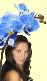 niki-uj